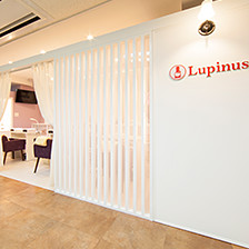 Lupinus 東京駅前店