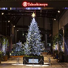 新宿タカシマヤ タイムズスクエア クリスマスイルミネーション
